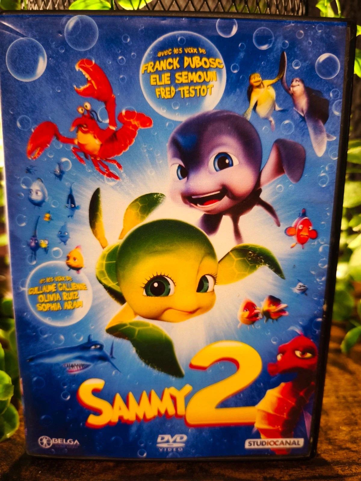 Sammy 2